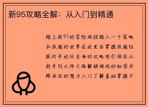 新95攻略全解：从入门到精通